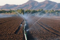 Министерство сельского хозяйства Российской Федерации сохраняет темпы подготовки мелиоративных систем к сезону весенних полевых работ на уровне прошлого года