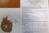 Итоги работы Управления Россельхознадзора по Тюменской области, ЯНАО и ХМАО в области надзора за качеством зерна и продуктов его переработки  за 9 месяцев 2015 год