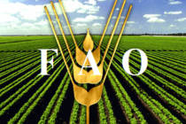 FAO опубликовала рекомендации по проведению сельскохозяйственных переписей