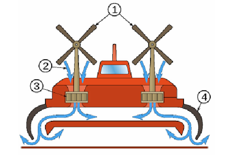 aviodum6