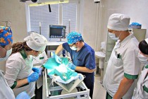 Первый шаг от ветеринарии к ветеринарной медицине: в Челябинской ветстанции осваивают высокие технологии в диагностике и лечении животных