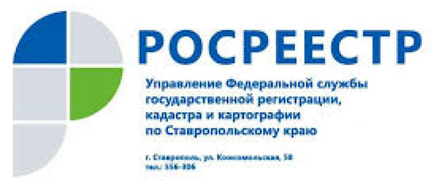 Команда Управления Росреестра по Тюменской области стала призёром ХVI Спартакиады федеральных органов государственной власти