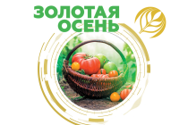 Челябинская область представит на «Золотой осени» предприятия агропрома и социальные достижения сельских территорий