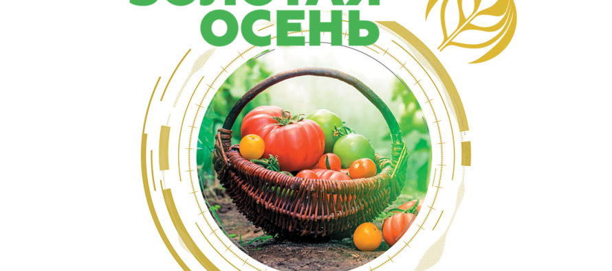 Челябинская область представит на «Золотой осени» предприятия агропрома и социальные достижения сельских территорий