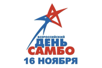 16 ноября отмечается Всероссийский день самбо!