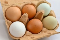 Пищевые яйца от тюменского предприятия отправились в Монголию