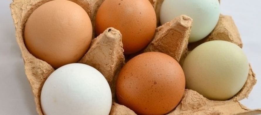 Пищевые яйца от тюменского предприятия отправились в Монголию