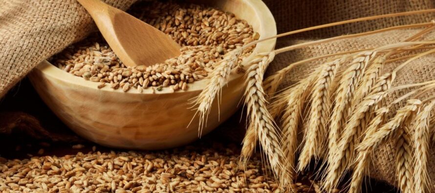 Орган по сертификации продукции Волгоградского филиала ФГБУ «Центр оценки качества зерна» подтвердил компетентность