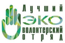 IV Всероссийский конкурс «Лучший эковолонтерский отряд»