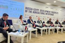 Египет высказал заинтересованность в расширении поставляемой в страну российской зерновой продукции