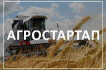 В Челябинской области грантами «Агростартап» поддержат малые хозяйства