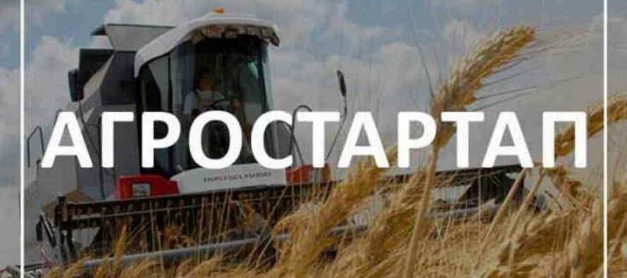 В Челябинской области грантами «Агростартап» поддержат малые хозяйства