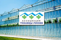 Ассоциация «Теплицы России» предложила Минпромторгу разрешить импорт луковиц цветов