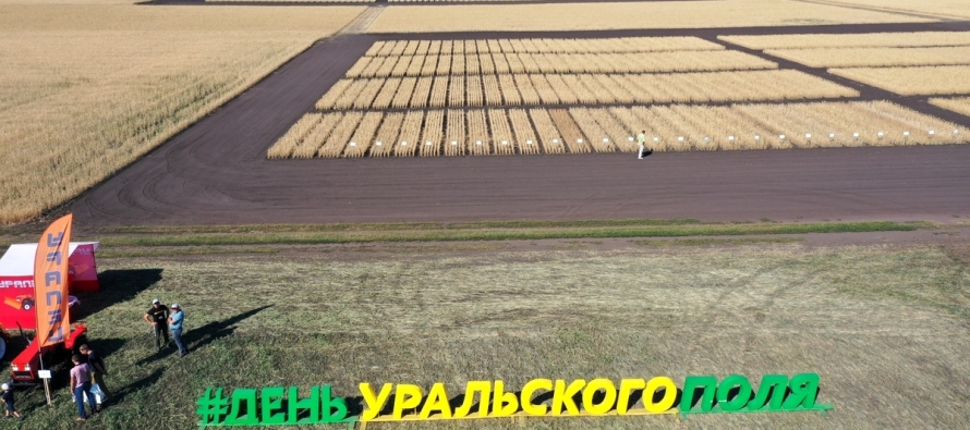 «День Уральского поля-2022» покажет «перезагрузку» рынка сельхозтехники