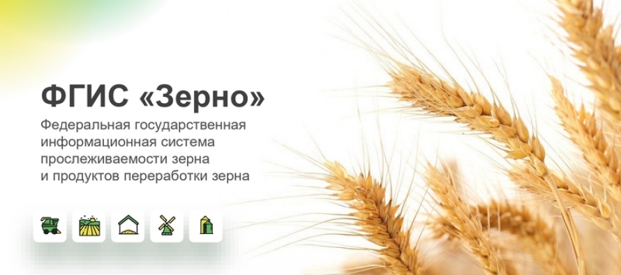 Более 1,5 тысячи участников зернового рынка в Челябинской области прошли регистрацию во ФГИС «Зерно»