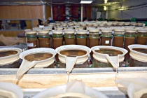 В Чебаркульском рыбзаводе государственная комиссия подсчитала икру