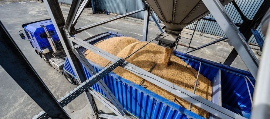 Российские производители полуприцепов в 2023 году продолжают наращивать выпуск зерновозов
