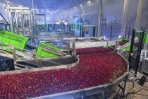 Компания «Агроном-сад» получила награду на международном конкурсе «Лучший продукт-2023»