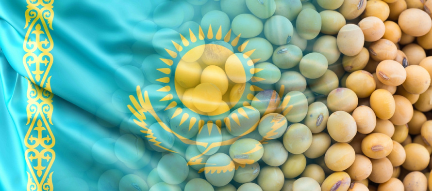 Казахстан наращивает закупки шротов, жмыхов, картофеля, сои и гороховой крупы из Алтайского края