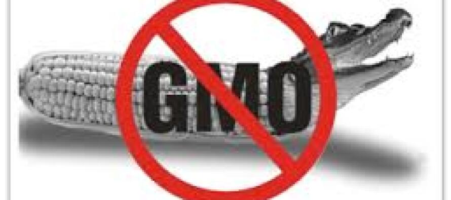 8 апреля — Международный день действий против ГМО