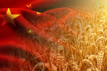 О проведении мониторинга полей и зернохранилищ для экспорта зерна в Китай