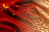Алтайские аграрии продолжают завоевывать рынок Китая