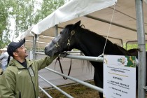 Новинки региональной сельхозтехники помогут южноуральским аграриям