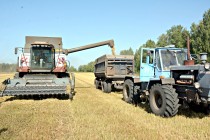 В Челябинской области ясные дни позволили ускорить уборку