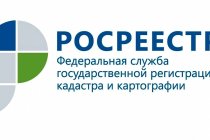 Представители муниципальных образований и тюменского Росреестра рассмотрели результаты выполнения мероприятий по земельному контролю