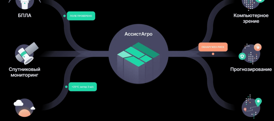ИИ-решение для агрономии от Геомир включено в реестр российского ПО