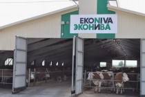 «ЭкоНива» вошла в ТОП-10 лидеров по продуктивности молочного стада